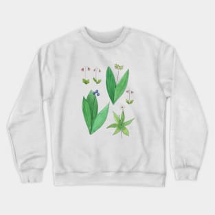 Borealis Wildflower Watercolor Illustrations Crewneck Sweatshirt